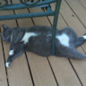 Meet your Posher, Patricia